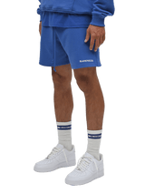 BLANKPIECES Socks  - Cobalt (M)